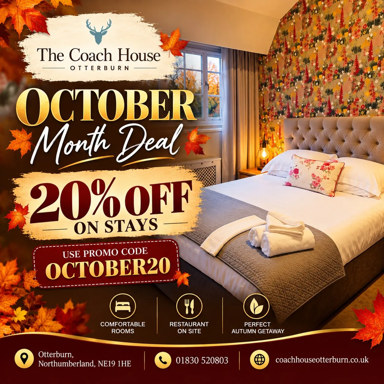 Coach Oct offer